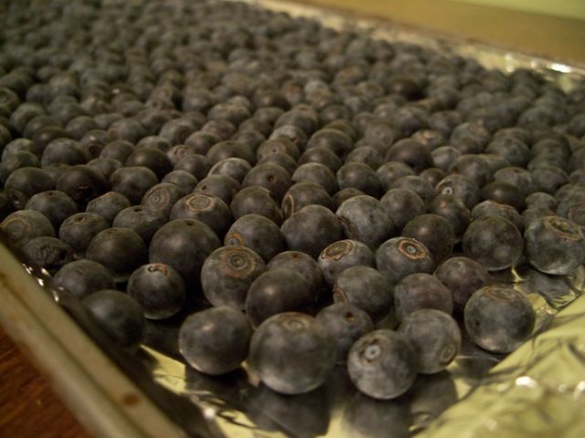blueberries-on-tray