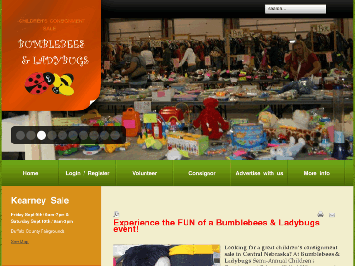 bumblebeesandladybugs.com