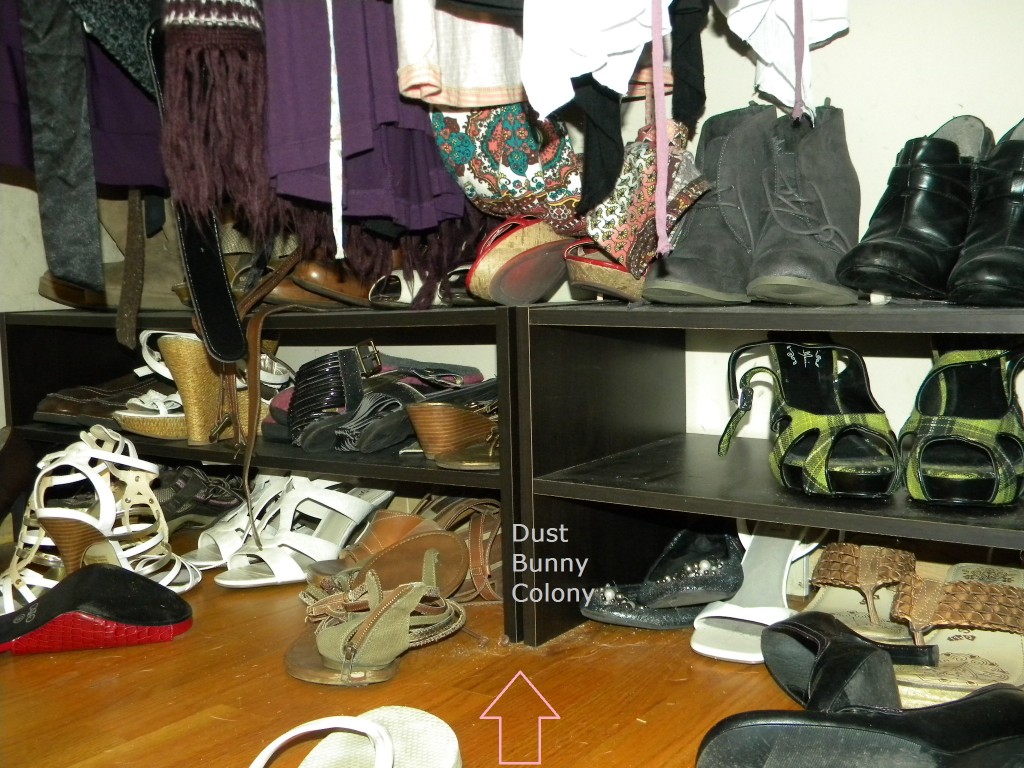 shoes pic