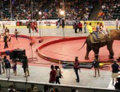 eventheader_shrinecircus