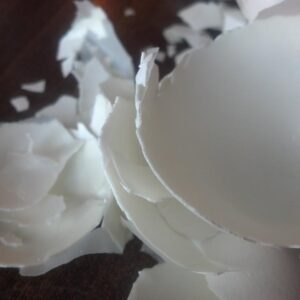 Pinspiration: Egg-celent Art Projects