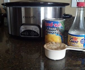 Hawaiian Crock Pot Chicken