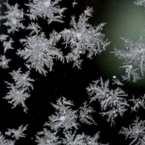 The Beauty of Intricate Snowflakes