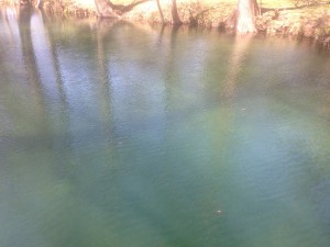 The Blanco River in Wimberley, TX