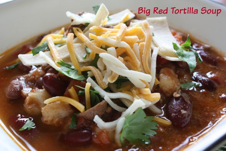 Big Red Tortilla Soup www.herviewfromhome.com