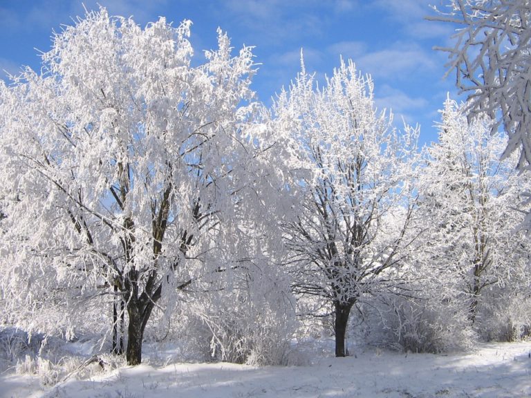 Feeling SAD from Old Man Winter? www.herviewfromhome.com