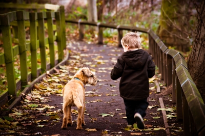 8 Reasons Every Family Should Get a Dog www.herviewfromhome.com