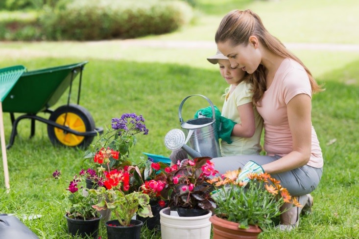 5 Benefits of a Small, Healthy, Homegrown Garden www.herviewfromhome.com
