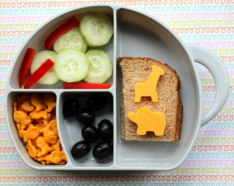 The New Parenting Fail - Our Kids' Packed School Lunches www.herviewfromhome.com