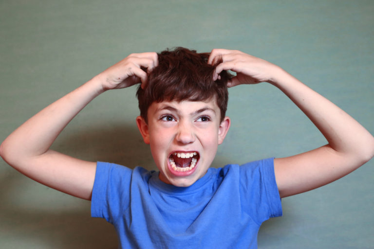 What To Do When Lice Attacks (Instead of Burning Down The House) www.herviewfromhome.com