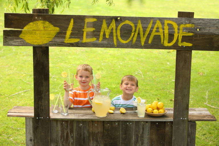 This is Why I Stop at Lemonade Stands and You Should Too www.herviewfromhome.com