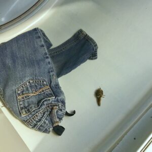 Kids Are Gross: Mom Finds More Than She Bargained For in the Laundry