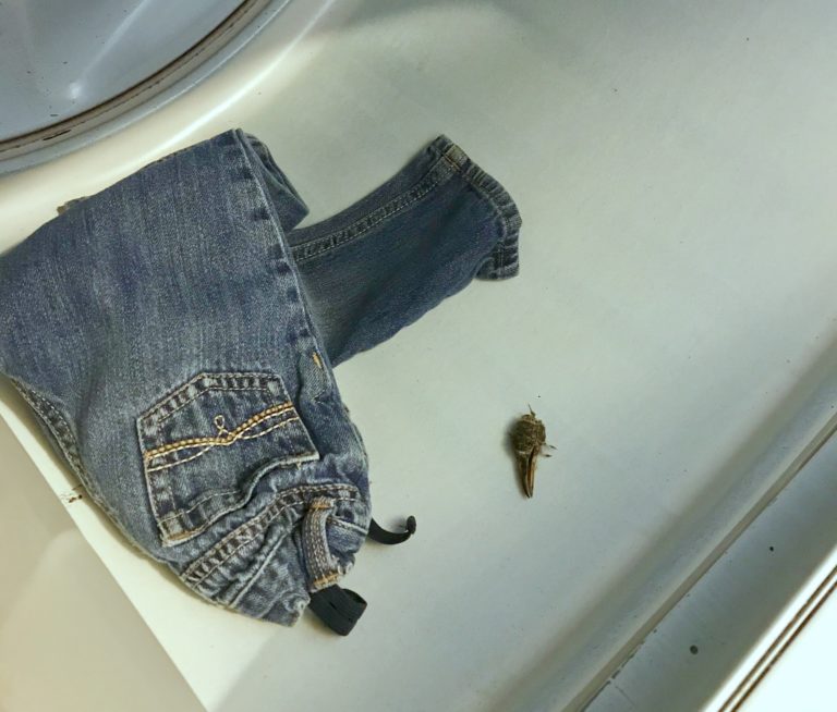Kids Are Gross: Mom Finds More Than She Bargained For In the Laundry www.herviewfromhome.com