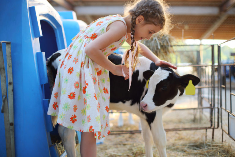 3 Reasons Farm Kids Grow Up to Be Successful www.herviewfromhome.com