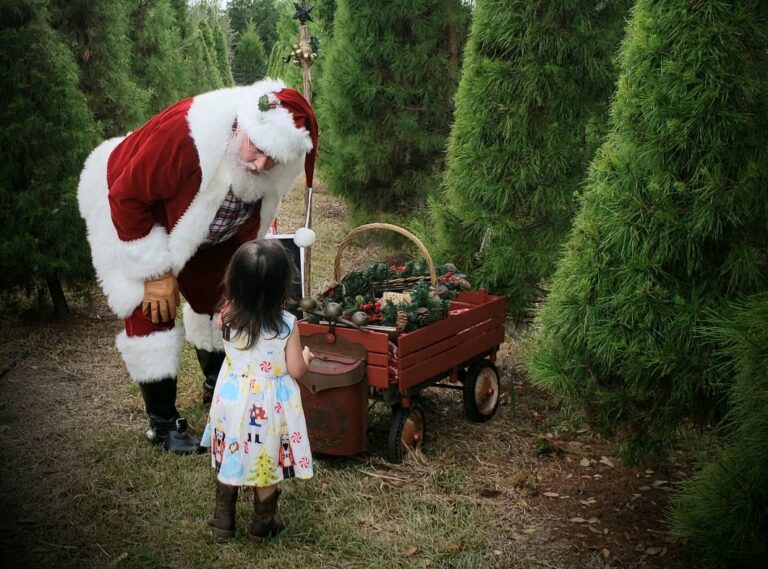 Little girl with Santa at Christmas tree farm