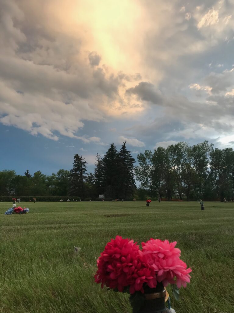 Pink flowers at a cemetery, color photo