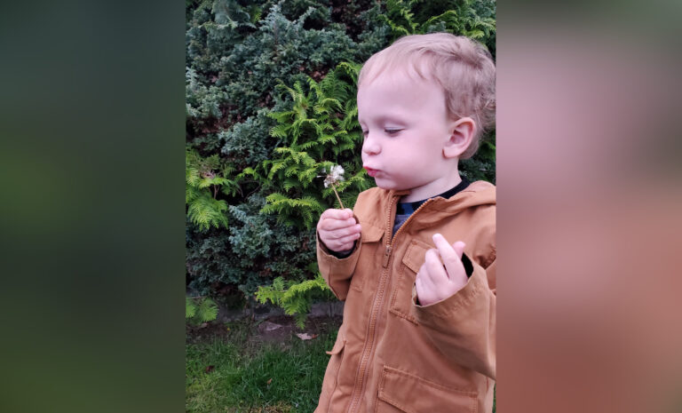 Little boy blowing dandelion seeds