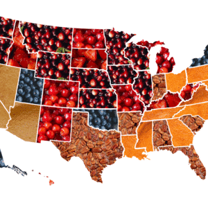 Instagram Released a Thanksgiving Pie Chart of Favorite Types By State—And I Have Questions