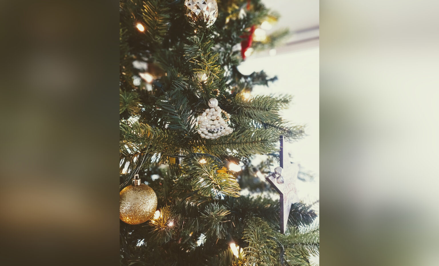 I Decorate For Christmas Early Because it Brings Me Joy Her View From