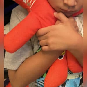 Caring For a Foster Child Means Loving His Little Red Bear, Too