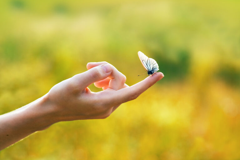 Woman holding butterfly on finger
