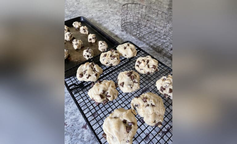 Baking tray of chocolate chip cookies, color photo