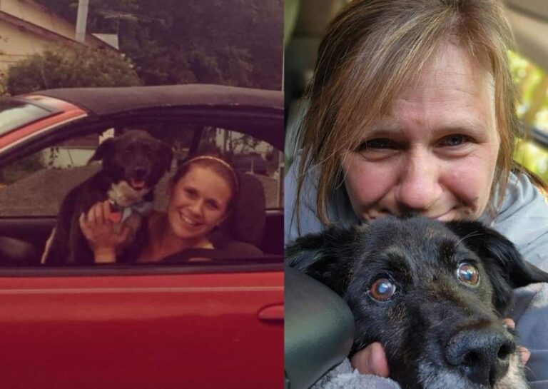 Young woman in car with dog, same woman years later with dog, color photo