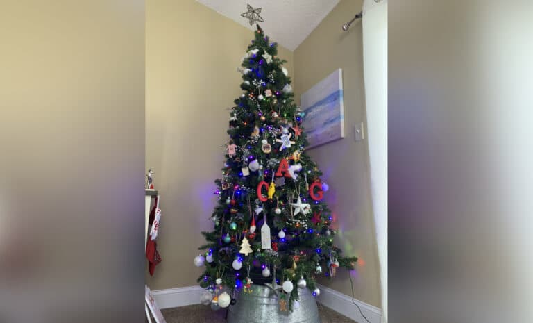 Christmas tree in corner of living room