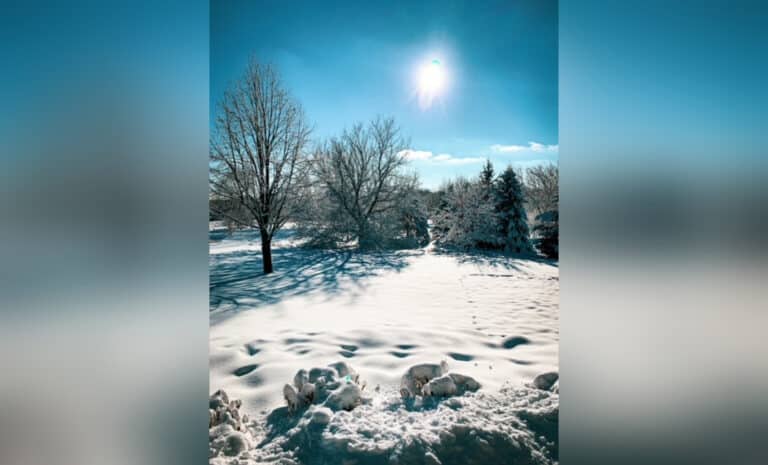 Snow covered landscape, color photo