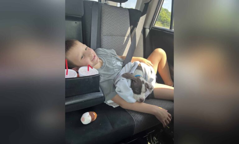 Little boy lying on car seat with puppy, color photo