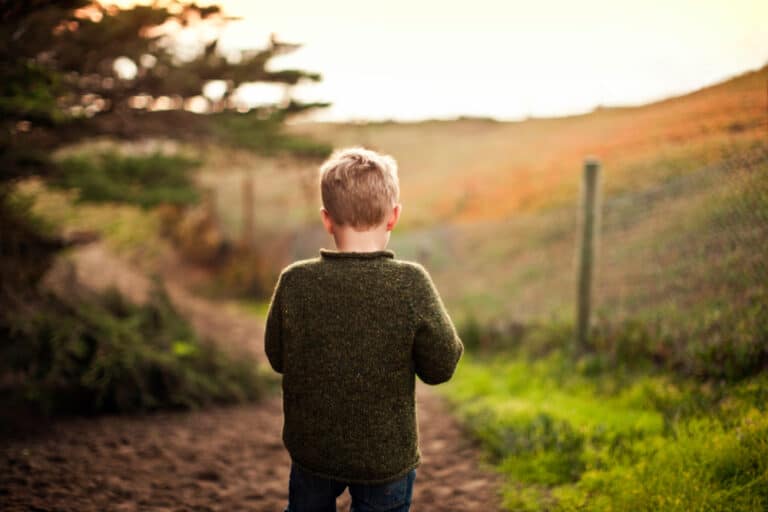 little boy walking in sunlit field