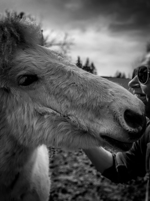 Woman smiling next to horse, black and white photo