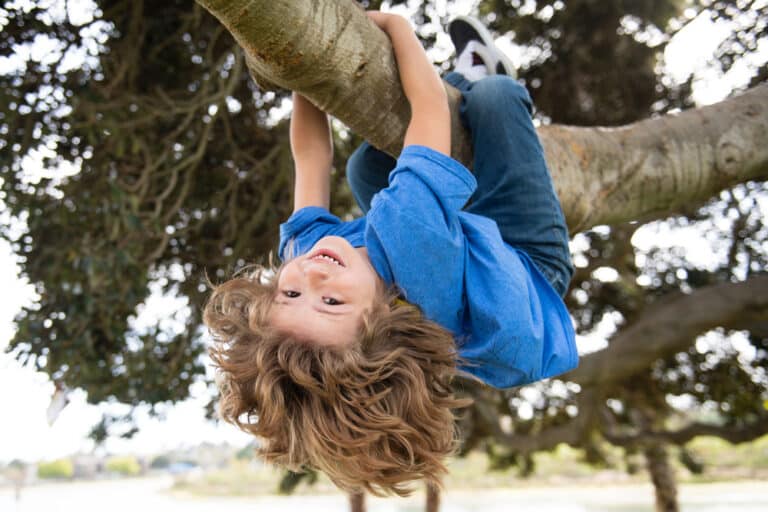 Child hanging upside down from a tree branch