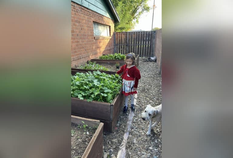 Little girl standing next to garden beds, color photo
