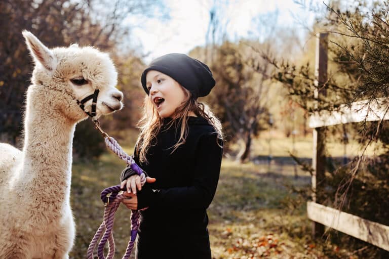 Young girl with Alpaca, color photo
