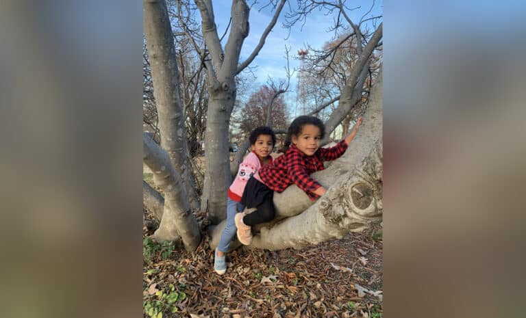 Two young girls climbing a tree, color photo