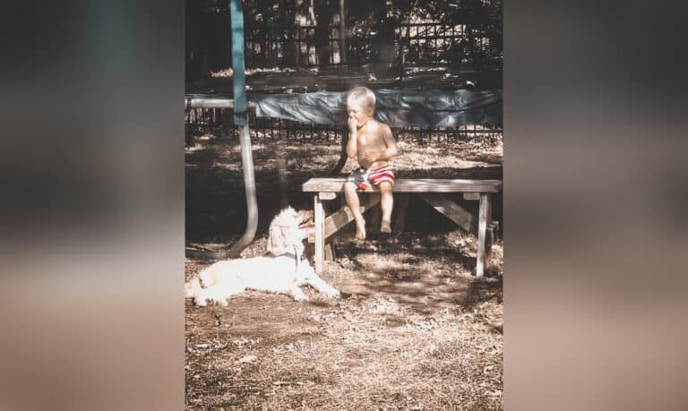 Little boy sitting on bench with dog nearby, color photo