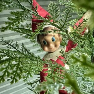 I Thought I’d Be Happy When No One Believed in the Elf Anymore