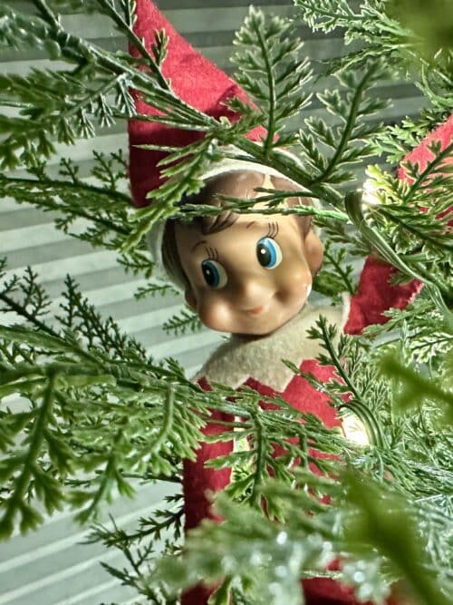 I Thought I’d Be Happy When No One Believed in the Elf Anymore