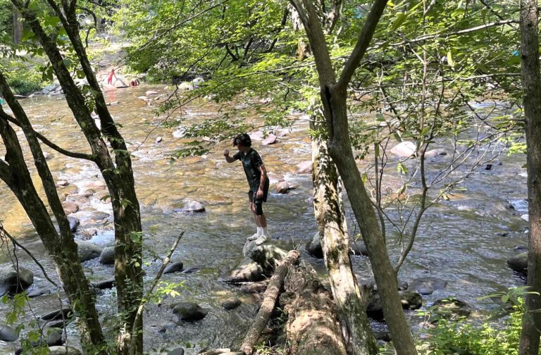 Young teen climbing a log in a shallow creek