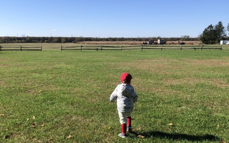 Little boy running in field