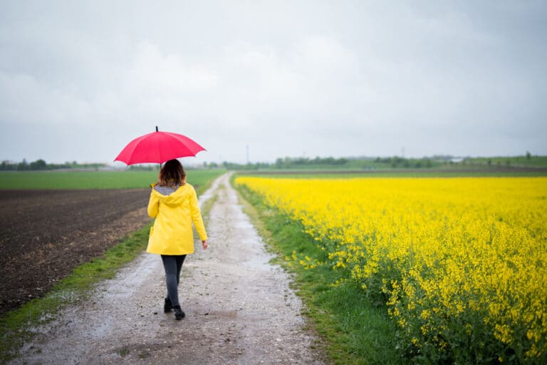 Young woman holding red umbrella walking next to canola field