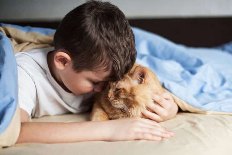 Little boy hugs a cat
