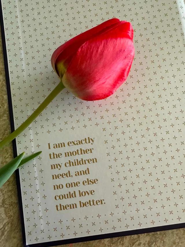 To mothers everywhere🤍 

-From our bestselling book, So God Made a Mother
Comment “book” and we’ll send you a link to get your copy!